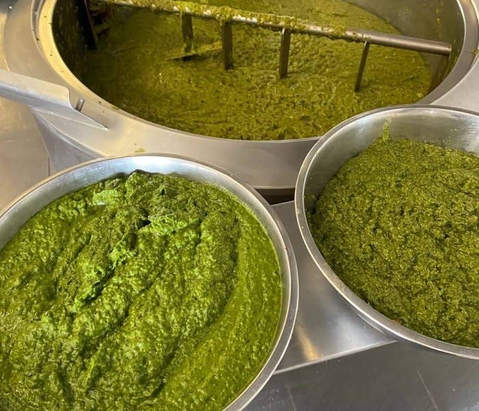 OELpaprika - Bio Grünes Pesto aus Paprika 260 g
