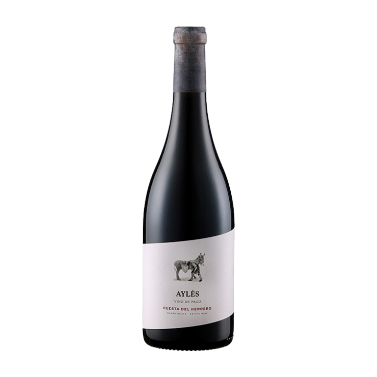 Bodega Pago Aylés | Cuesta del Herrero