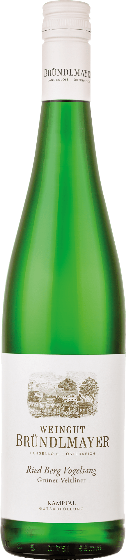 Bründlmayer | Grüner Veltliner Berg Vogelsang