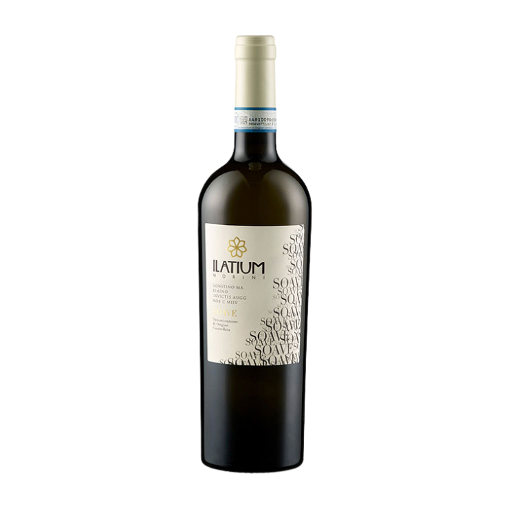 Latium Morini | Soave DOC