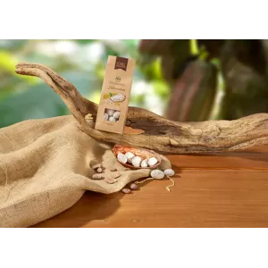 Schell Schokoladen | Schokolierte Kakaobonen