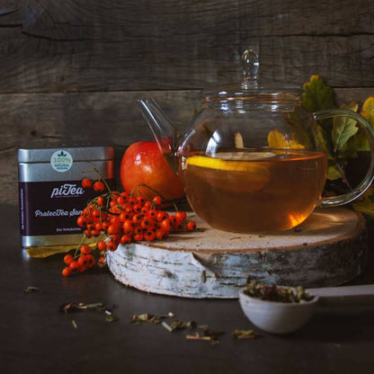 piTea | ProtecTea Sanddorn [Kräutertee]